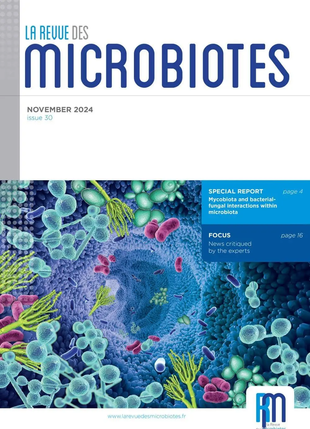 Mycobiota and bacterial fungal interactions within microbiota