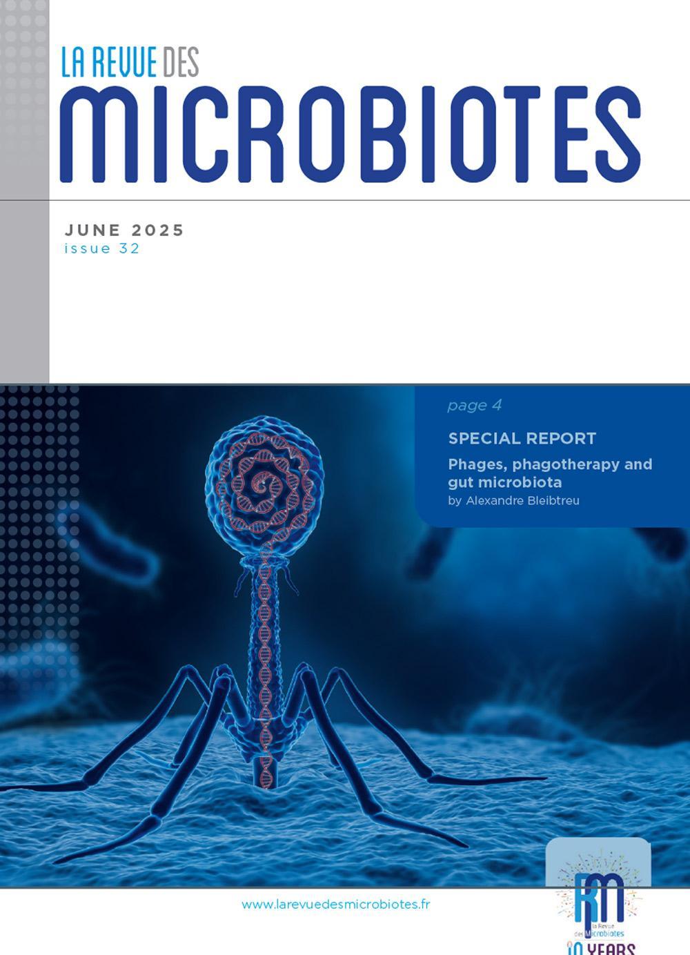 Phages, phagotherapy and gut microbiota