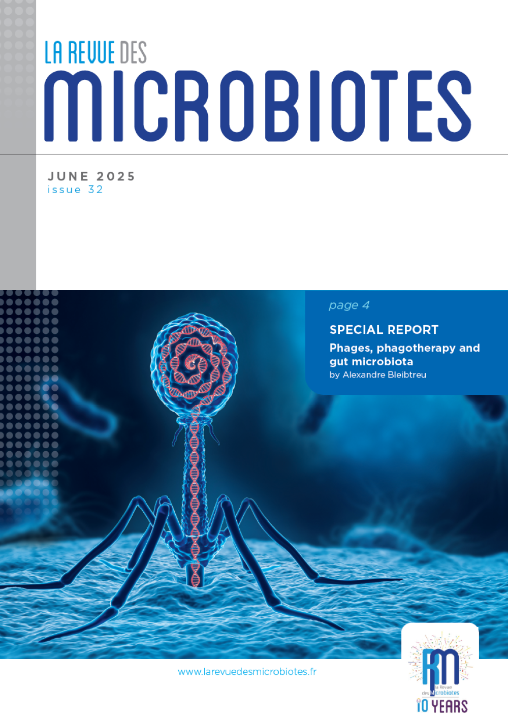 Phages, phagotherapy and gut microbiota